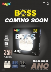 Wireless Earbuds